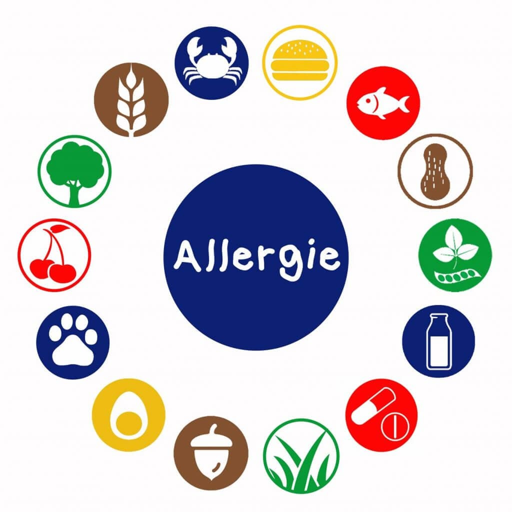 Verschil allergie & intolerantie en rol van de diëtist