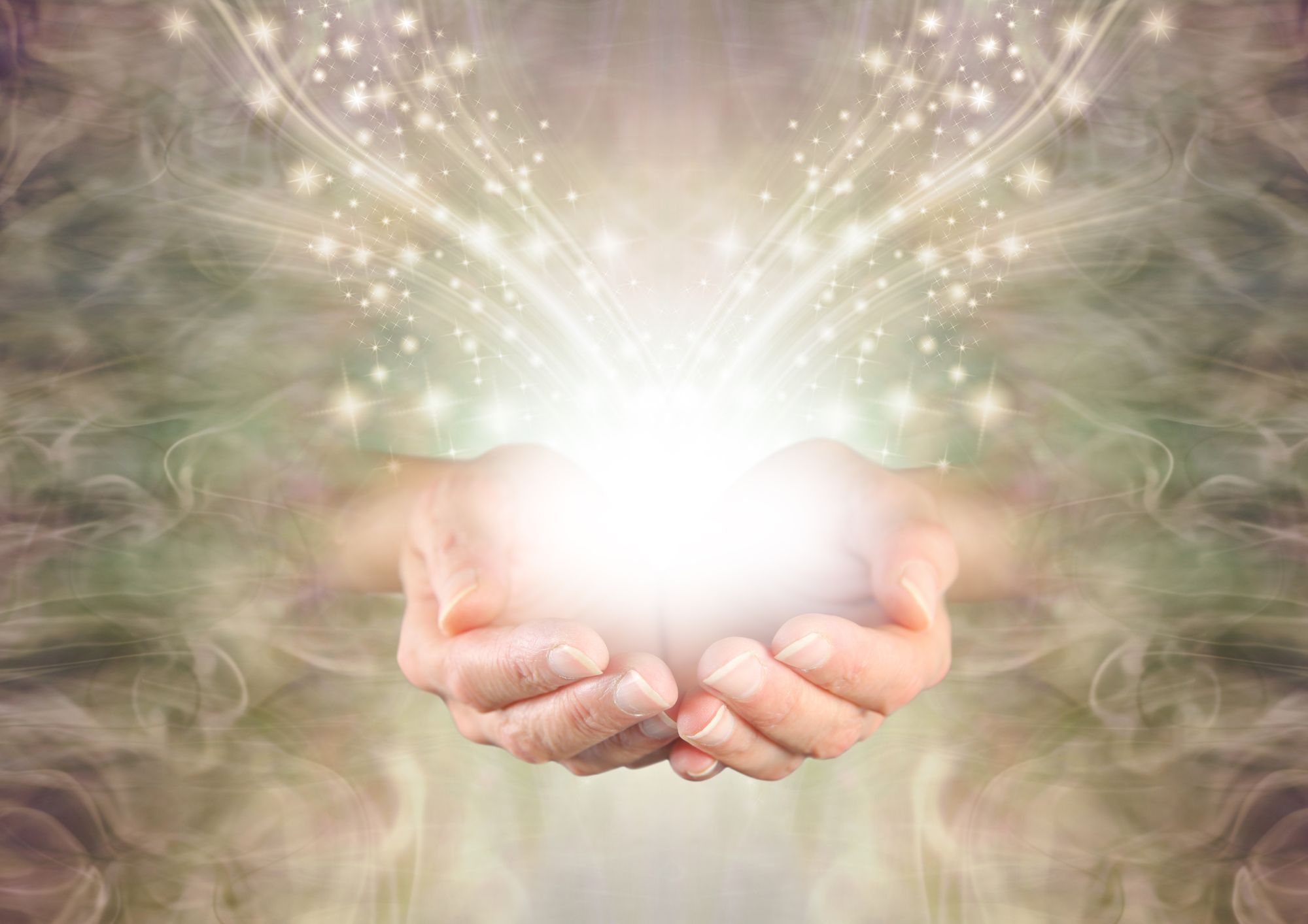 foto aangepast formaat (12)